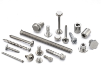 SPECIAL SCREWS